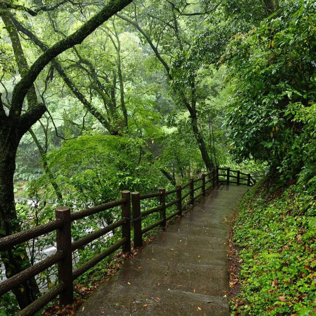 takachiho gorge spring